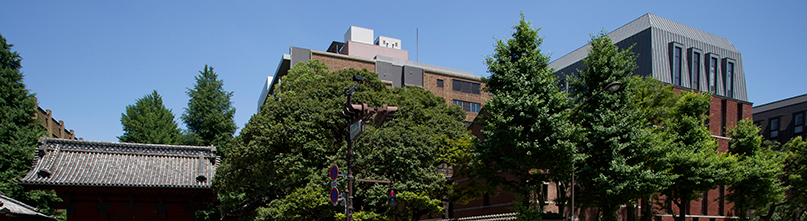 The University of Tokyo